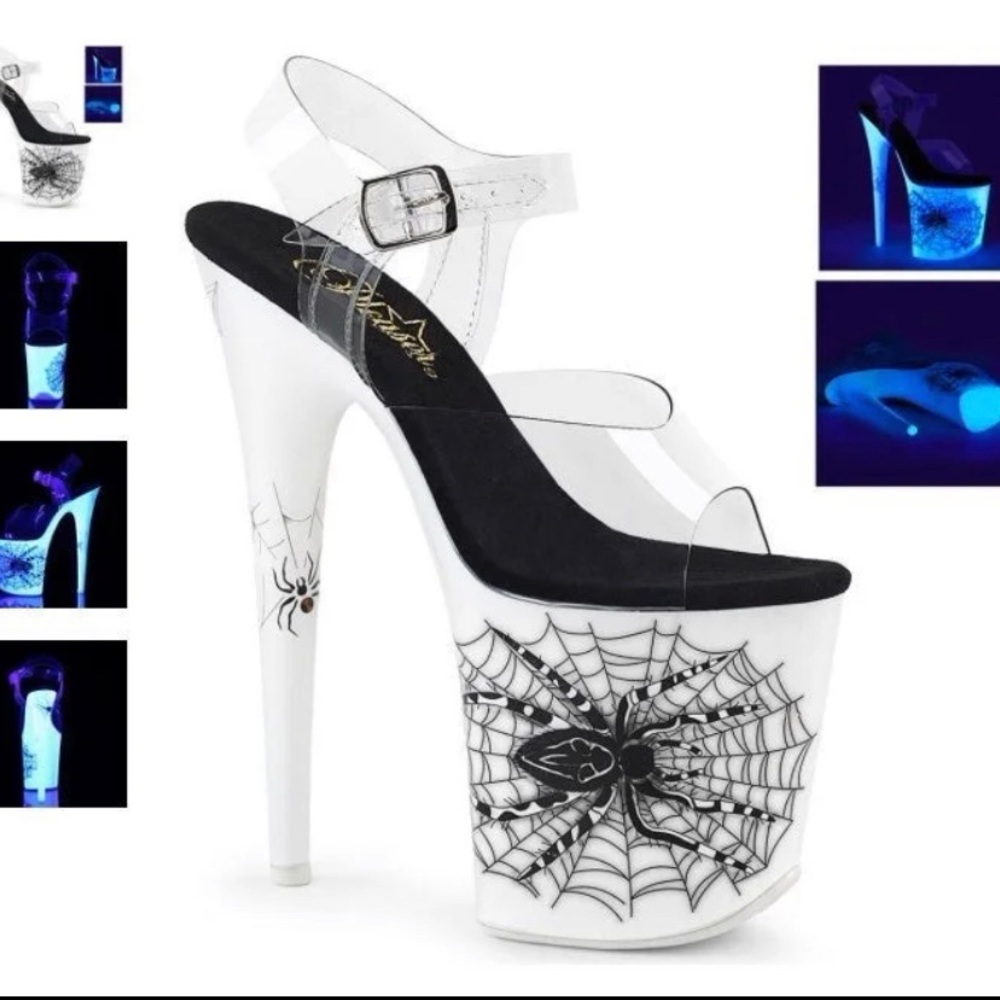 Black Widow Spider Web 808